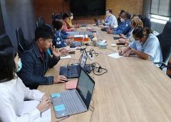 The external audit